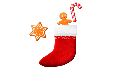 FREE Santa Sock - Christmas Alert